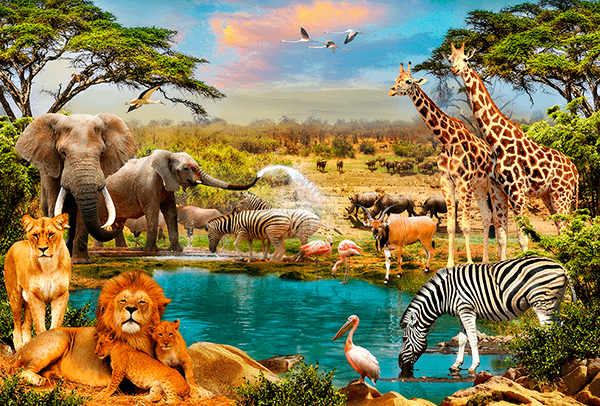 Wall Murals: Shroud Animals