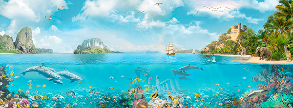 Wall Murals: Marine Fauna