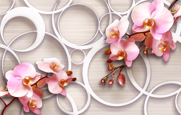 Wall Murals: Rose Orchids