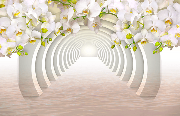 Wall Murals: White Orchids