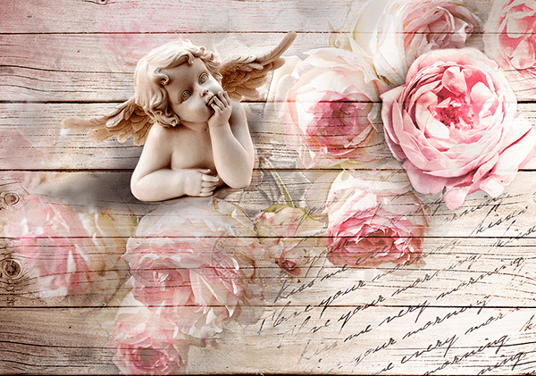 Wall Murals: Angel of the roses