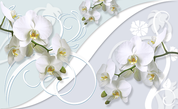 Wall Murals: Orchid Ritual