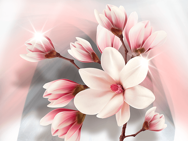 Wall Murals: Brilliant Magnolias