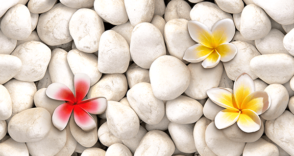 Wall Murals: Lilium on stones