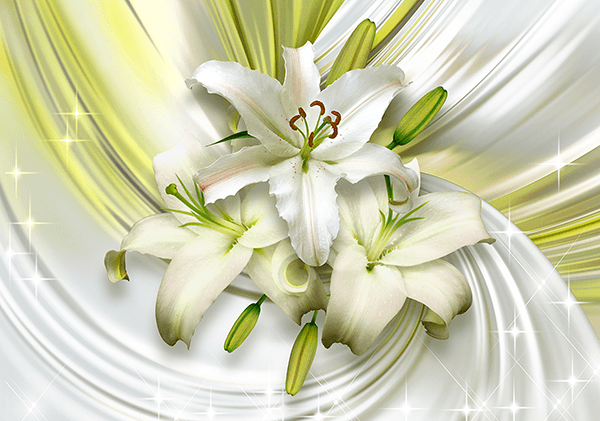 Wall Murals: Spiral of lilies