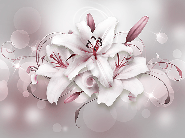 Wall Murals: Bouquet of grey lilies