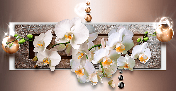 Wall Murals: Orchids behind the mailbox