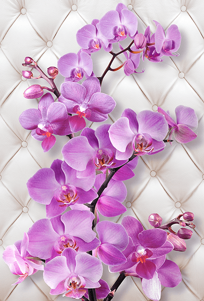 Wall Murals: Violet orchid on a headboard