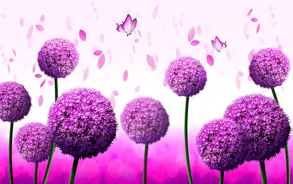 Wall Murals: Garlic flower