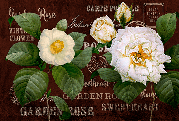 Wall Murals: Postcard flowers