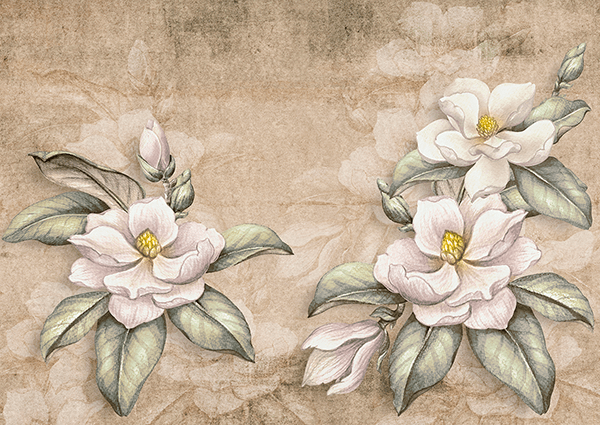 Wall Murals: Watercolor of Nelumbos