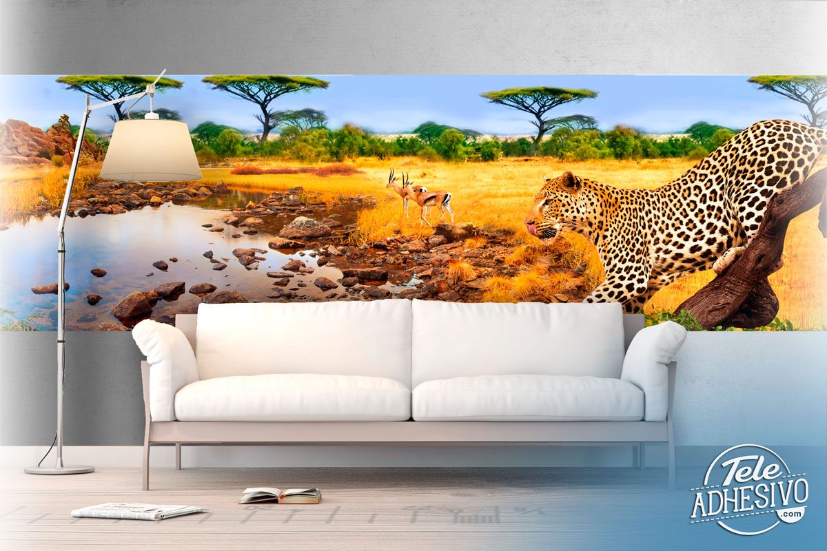 Wall Murals: Leopards at rest