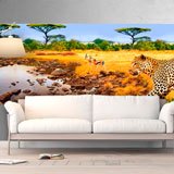 Wall Murals: Leopards at rest 2