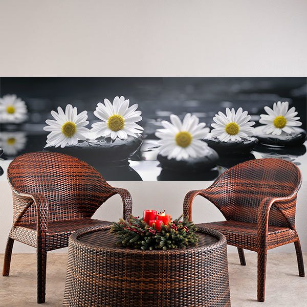 Wall Murals: Daisies on black stones 0