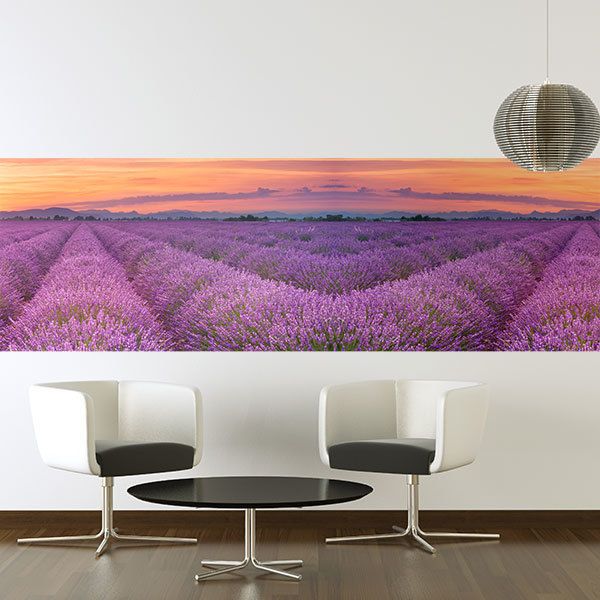 Wall Murals: Lavender field at sunset 0