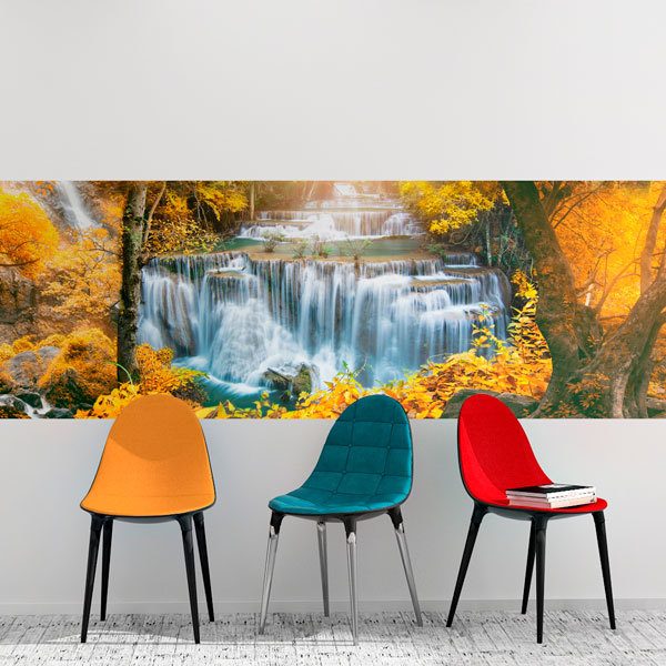 Wall Murals: Forest in autumn 0
