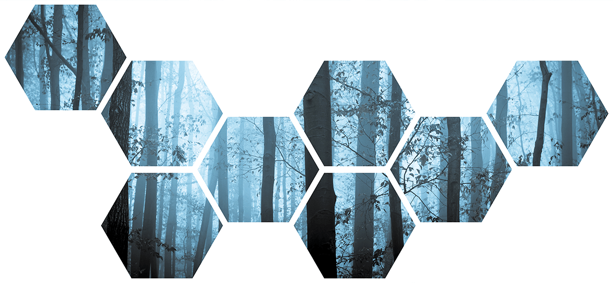 Wall Stickers: Blue forest Geometric kit