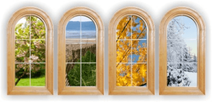 Wall Stickers: Windows