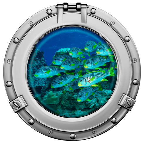 Wall Stickers: Fish bank 1