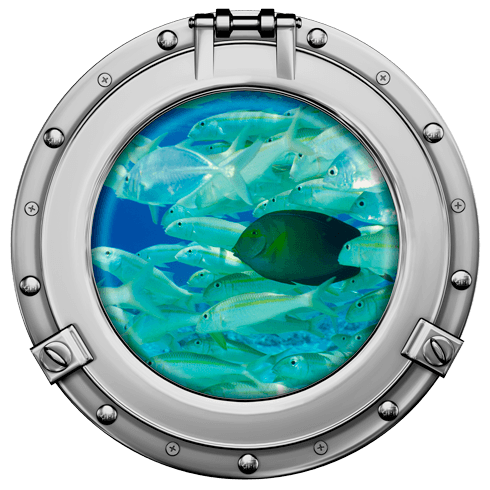 Wall Stickers: Fish bank 2