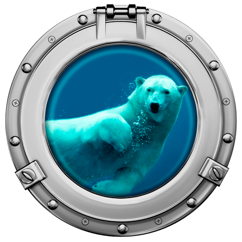 Wall Stickers: Polar bear swimming