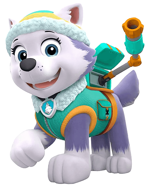 Stickers for Kids: Paw Patrol - Everest