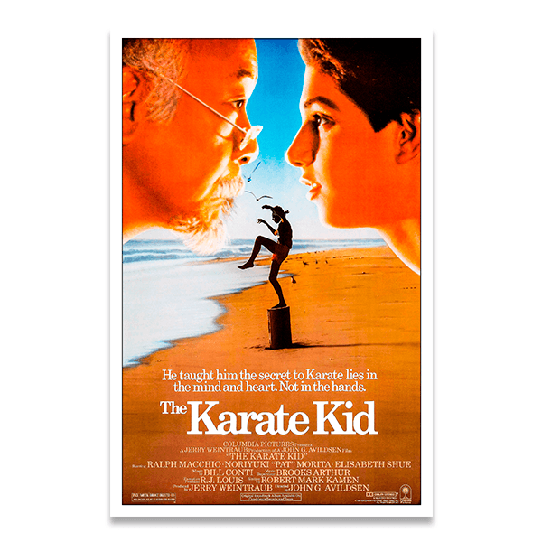 Wall Stickers: Karate kid