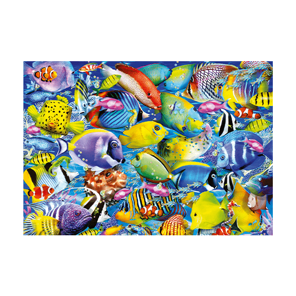Wall Stickers: Colorful Fish
