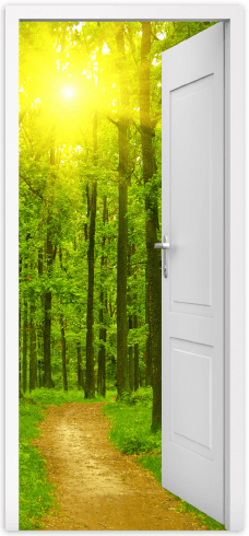 Wall Stickers: Open door path in the wood