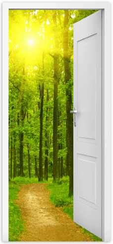 Wall Stickers: Open door to the forest