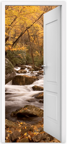 Wall Stickers: Open door spring in the forest