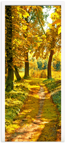 Wall Stickers: Door path in a forest in autumn