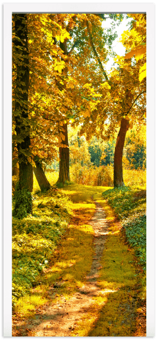 Wall Stickers: Forest path in autumn