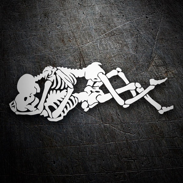 Car & Motorbike Stickers: Hugged skulls