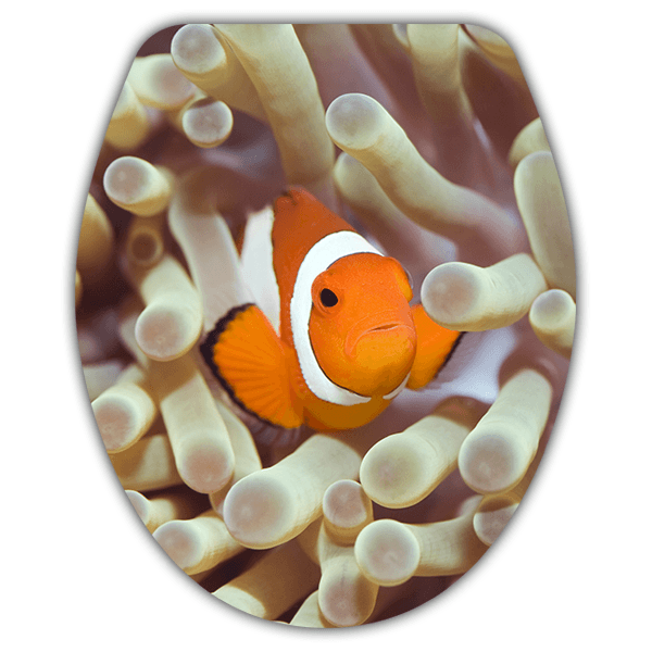 Wall Stickers: Top WC clownfish