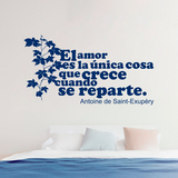 Wall Stickers: Amor Crece Exupery 3