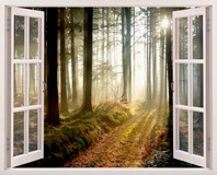Wall Stickers: Trees in the forest 5