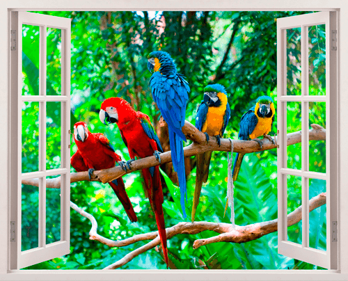 Wall Stickers: Parrots