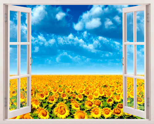 Wall Stickers: Field of sunflowers