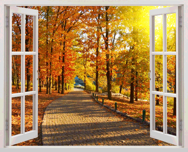 Wall Stickers: Autumn in the park