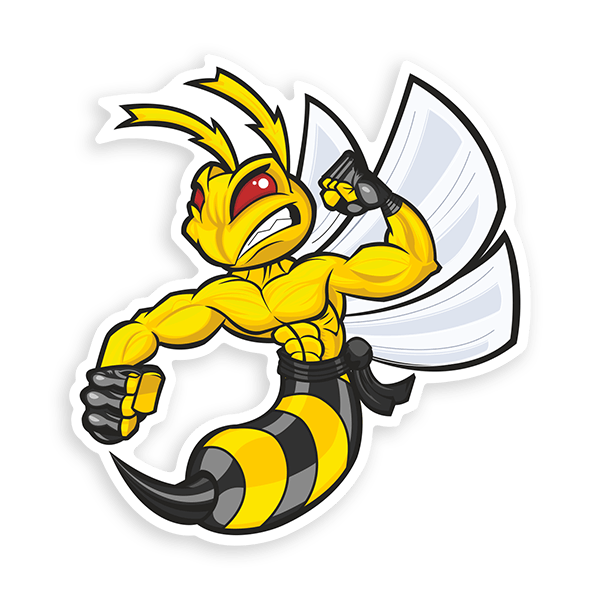 Car & Motorbike Stickers: Super Bee