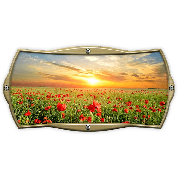 Camper van decals: Rectangular frame poppy field