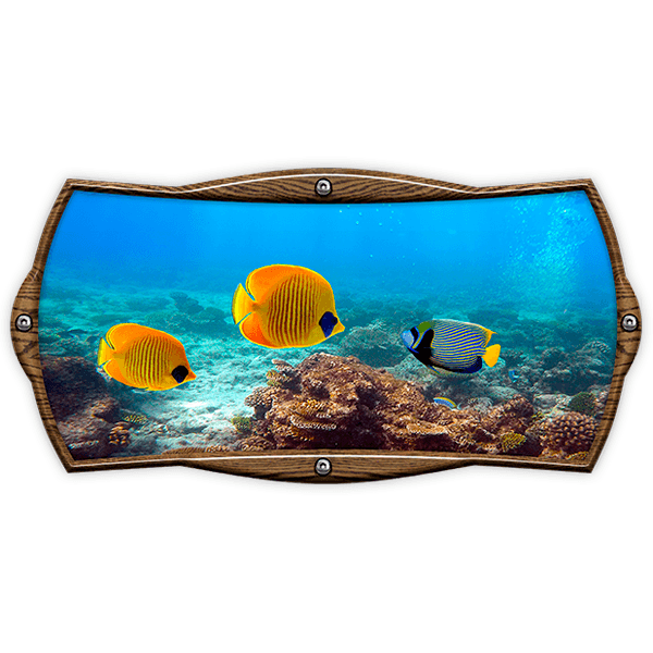 Camper van decals: Rectangular frame marine fish