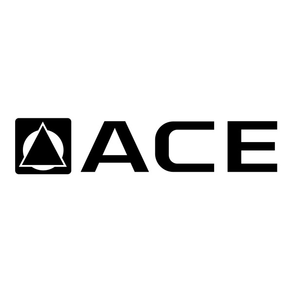Camper van decals: Ace Caravan Decal Blue Logo