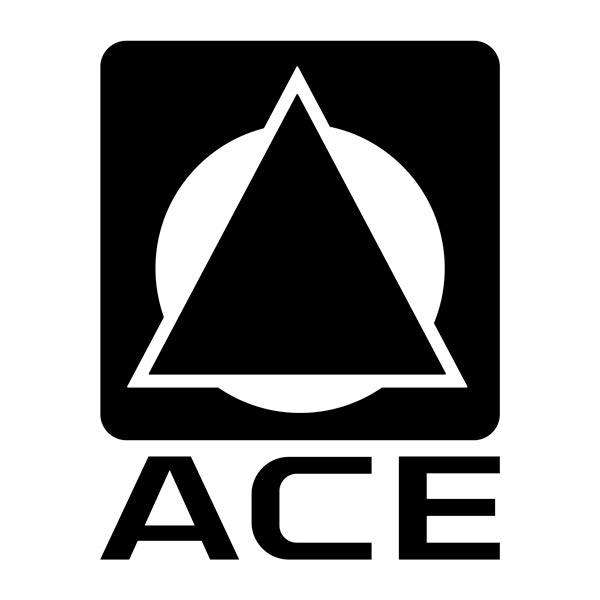 Camper van decals: ACE Logo Camper Decals
