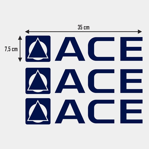 Camper van decals: Set of 3 ACE Decals for Camper  35x7.5 cm