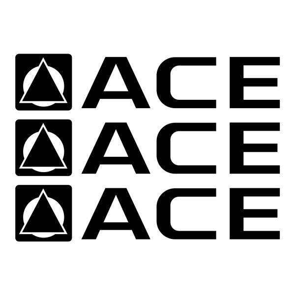 Camper van decals: Set of 3 ACE Decals for Camper  35x7.5 cm