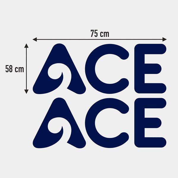 Camper van decals: ACE Motorhome Stickers - Set of Two Pieces