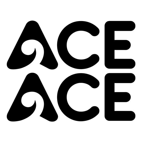 Camper van decals: ACE Motorhome Stickers - Set of Two Pieces
