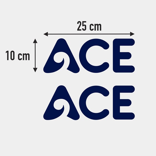 Camper van decals: ACE logo vinyl decal 25x10 cm